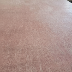 Bintangor แผ่นไม้อัดไม้อัดไม้อัดไม้อัดไม้อัดไม้อัดไม้อัดที่ต้องเผชิญกับแผ่นไม้อัดไม้อัดไม้อัดหน้าขา E0ราคาดีที่สุด/E1/E2รับประกัน1ปี - Product Image 1