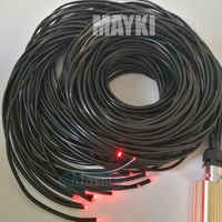 Câble de Fibre Optique PMMA à Éclairage par les Extrémités, Multi-brins, pour Éclairage Étoilé de Plafond de Piscine