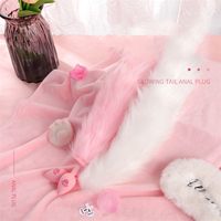 Jouets sexuels SM pour femmes Cosplay Plug anal en silicone Lumière clignotante Longue queue de renard Plug anal
