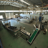 Ligne de production de chips de pommes de terre Lays 100-300 kg/h, machine à fabriquer des chips de banane, équipement pour chips de plantain et de manioc