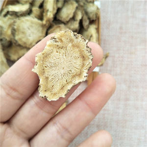 Dang Gui Preço Acessível Raiz Seca de Angelica Sinensis - Product Image 2