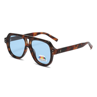 Lunettes de soleil classiques à double pont Twooo T1321, lunettes de soleil polarisées unisexes de haute qualité en TR90