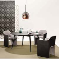 Nouvelle chaise de café française, chaise de salle à manger individuelle de luxe léger, chaise de restaurant occidentale bicolore