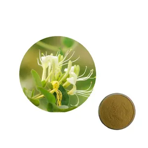 High Quality Herbal Extract 25%Chlorogenic Acid Honeysuckle Flower Extract Powder Lonicera Japonica Extract
