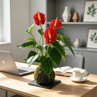 Vente en gros : Anthurium artificiel rouge à toucher réel, Kokedama, boule de mousse, bonsaï, fausse plaque d'anthurium pour la décoration de la maison, du bureau et du bureau de travail