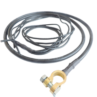Connecteurs de batterie de voiture personnalisés en usine, câble OEM M10, déconnexion rapide, bornes en laiton, UL1015 6AWG, faisceau de câbles haute tension