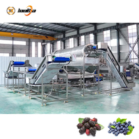 Automatische fruit- en bessenwasmachine, sorteermachine voor kumquats en aardbeien.
