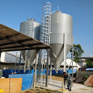 Baru 3-30ton pakan unggas gudang jalur makan otomatis untuk perternakan babi peralatan Silo digunakan di Silo peternakan unggas - Product Image 4