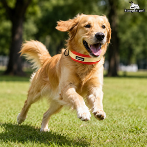 Adjustable Reflective Padded Soft Nylon Half P Training Collar Custom Logo - Product Image 4