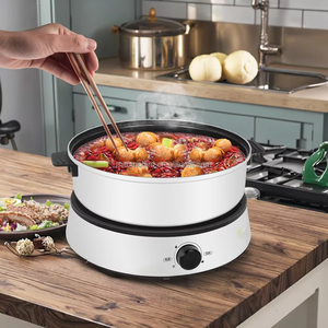 Poêle électrique antiadhésive double face 4L Couvercle en verre à haute teneur en silicone Contrôle multi-puissance Caractéristiques d'économie d'énergie pour les ménages américains - Product Image 6