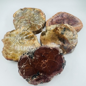 Vente en gros de dalle fossile en bois poli en bois pétrifié naturel tranche de spécimen de pierre brute décoration artisanat pièce de bois pétrifié - Product Image 1