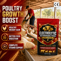 3% Vitamin Mineral Premix Bubuk Buah Pakan Penggemukan Ayam Pedaging Pengawet Pakan Meningkatkan Pertumbuhan Sehat Peningkatan Berat Badan OEM/ODM