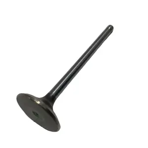 Cummins Diesel Engine Spare Parts Exhaust Valve 3942589 3800341 FOR CUMMINS ISC QSC Series Turbo