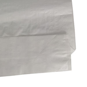 5kg 25kg Vacío Plástico Pp Tejido Saco Bloque Inferior Cemento blanco Bolsa de embalaje - Product Image 2