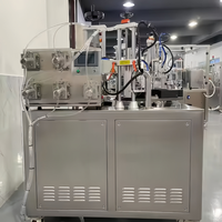 Machine automatique de remplissage et de scellage de liquide d'ampoule en plastique monodose à petite bande