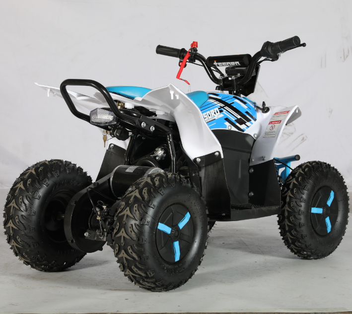 The Newly Launched Popular Electric Adult