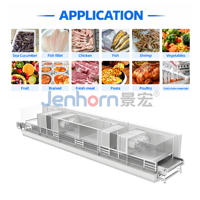 Automatische tunnelvriesmachine voor de IQF-verwerking van kip, vis, vlees en kant-en-klare voedingsmiddelen