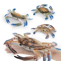 Crabe marin simulé grand modèle, organisme marin Portunus Tritaeniorhynchus, crabe blanc, ornements décoratifs, jouet