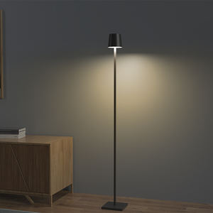 Nordic Outdoor Modern Decor <span class=keywords><strong>Poldina</strong></span> USB Battery Standing Cordless led <span class=keywords><strong>lampada</strong></span> <span class=keywords><strong>da</strong></span> <span class=keywords><strong>terra</strong></span> ristorante ricaricabile - Product Image 2