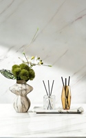 Articles de décoration intérieure en verre minimalistes en gros, bouteilles d'aromathérapie de forme irrégulière pour salon et salle de bain