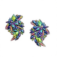 Décoration de costume de carnaval de Notting Hill DIY : Appliques thermocollantes en résine avec pierres violettes et vertes, strass et ruban de garniture