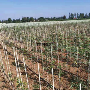 แท่งไฟเบอร์กลาสรองรับการทำสวน - Product Image 5