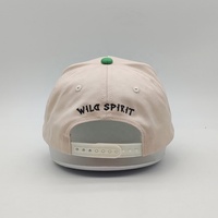 Casquette Oem personnalisée de haute qualité brodée en 3D de logo en daim et coton Casquette 5 panneaux avec cadre bicolore Casquettes de baseball de sport Gorras