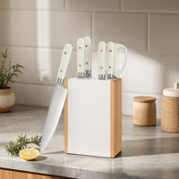 Ensemble de 7 couteaux de chef en acier inoxydable avec lame droite, couteau Santoku, couteau à trancher, couteau utilitaire, couteau à fruits et ciseaux avec bloc de rangement