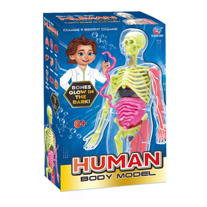 Tự làm Squishy cơ thể con người cơ quan lắp ráp đồ chơi có thể tháo rời con người Cấu Trúc Bộ xương mô hình giáo dục khoa học Kit cho các trường học - Product Image 6