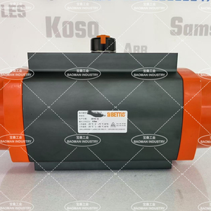 เบตติส จีวีโอ ลิเนียร์ เหมาะสำหรับการอัตโนมัติควบคุมวาล์วแบบก้านขึ้นได้หลายประเภท - Product Image 6