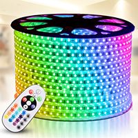 Lampu Strip Fleksibel 100m 5050 SMD LED RGB IP67 Tahan Air WS2811 Plastik untuk Lanskap dengan Remote Kontrol 110V 220V