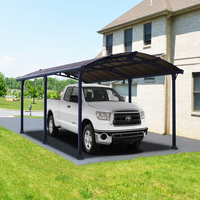 Garage extérieur pour 2 voitures, abri d'auto pour le stationnement, garage métallique étanche