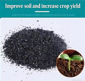Engrais organique en poudre d'extrait d'algues, directement de l'usine, entièrement soluble dans l'eau, favorise l'enracinement des plantes, agriculture - Product Image 2