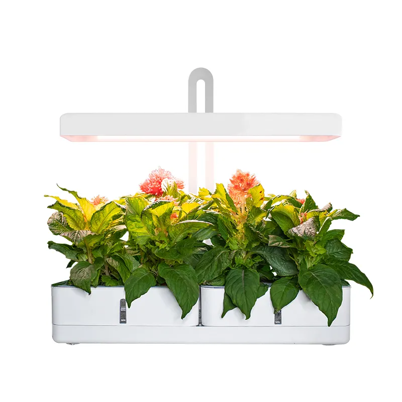 Minigarden Gelulv con iluminación inteligente jnc, kit pod hidropónico automático para interior, jardinería