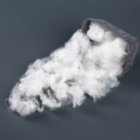 Fibre de polyester recyclée siliconée creuse, microfibre, matériau de rembourrage pour oreillers, coussins, jouets
