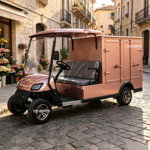 Voiturette de golf électrique 6 places au design rétro, avec châssis large et esthétique extérieure attrayante, idéale pour les parcs touristiques - Product Image 1