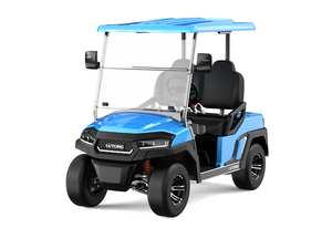 Carrito de Golf de 2 Plazas C727.2, Kit de Sistema de Aire Acondicionado de 48V 5KW, Vehículo de Turismo con Motor de 4 kW y Batería de 48V - Product Image 2