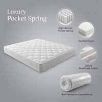Matelas compressible à ressorts ensachés 5 zones, mousse à mémoire de forme en latex naturel, taille Queen, épaisseur 25 cm, enroulé en boîte pour usage domestique et chambre à coucher