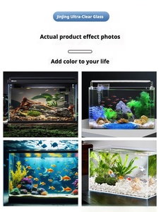 Aquarium rectangulaire en verre ultra-clair épaissi pour aquascape, tortue, plusieurs tailles - Product Image 4