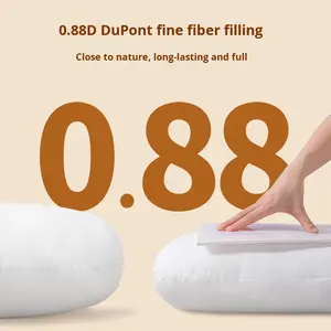 Oreiller de soutien lombaire pour femmes enceintes, pour <span class=keywords><strong>dormir</strong></span> sur le côté, soutien du <span class=keywords><strong>ventre</strong></span> pendant la <span class=keywords><strong>grossesse</strong></span>, <span class=keywords><strong>coussin</strong></span> spécial pour l'été - Product Image 1