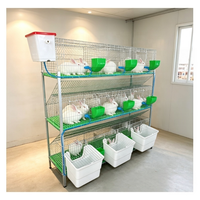 Ensemble de cages d'élevage de lapins galvanisées à chaud, conçues pour l'élevage en haute densité et la gestion facile des déjections dans les fermes avicoles