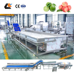 Ligne de lavage et de séchage pour fruits (cerises, oranges, mangues) et légumes (tomates, choux) avec système de lavage Vortex - Product Image 3