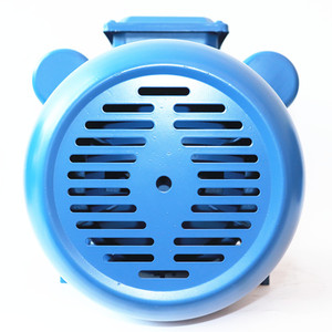 มอเตอร์ไฟฟ้าเฟสเดียว - Product Image 4