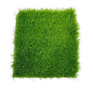 Césped Artificial Angus en Rollo, 1000 Piezas, Material PPPE, Césped Sintético Antideslizante para Campos Deportivos al Aire Libre - Product Image 3