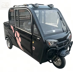 Mini camion électrique avec porte-bagages <span class=keywords><strong>de</strong></span> <span class=keywords><strong>toit</strong></span> robuste. Sa petite taille permettant un stationnement facile, capacité <span class=keywords><strong>de</strong></span> charge <span class=keywords><strong>de</strong></span> 300 à 500 kg pour les petites marchandises quotidiennes - Product Image 1