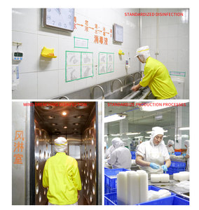 Venta al por mayor cero calorías Konjac espagueti Shirataki fideos mojados avena Konjac Pasta fideos a granel sin olor avena Konjac comida - Product Image 6