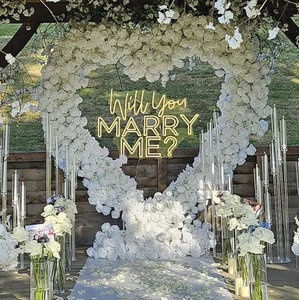 सबसे अच्छा विक्रेता व्यक्तिगत 'आप मुझसे शादी करेंगे' के नेतृत्व वाली कंपनियों के कार बार अस्पताल के सजावट-थोक मूल्य - Product Image 5