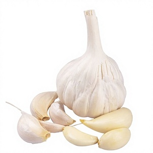 Huile Essentielle Pure d'Ail Naturel (Allium Sativum) pour Cosmétiques et Aromathérapie - Vente en Gros B2B avec Options de Marque Privée - Product Image 4