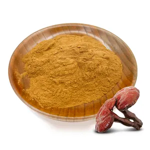 Fabbrica OEM sfuso puro fungo Reishi estratto in polvere 5:1 Ganoderma Lucidum estratto in polvere