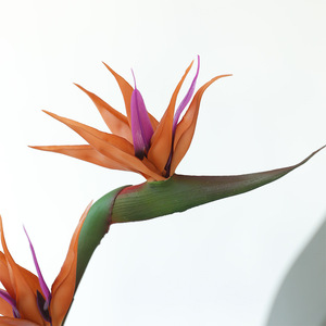 Fleur artificielle d'oiseau de paradis d'automne en PVC souple, haute simulation, pour décoration maison et mariage - Product Image 4